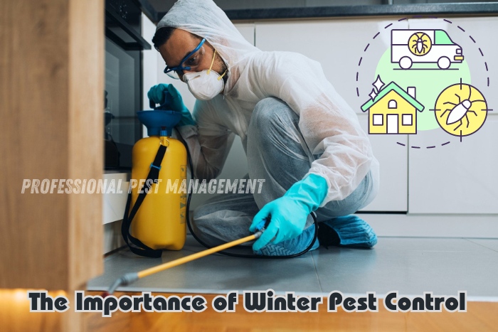 Professional Pest Management technician in Chennai applying winter pest control treatment under kitchen cabinets to prevent infestations, featuring logos of cockroach, house, and termite control services