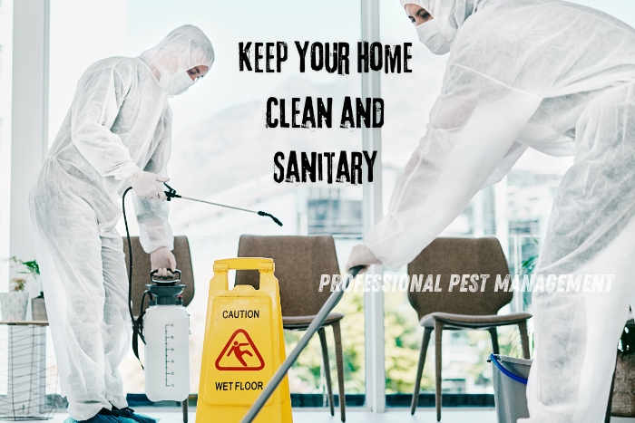 Homeowners in Chennai can rely on our services to maintain a pest-free and hygienic environment in their homes