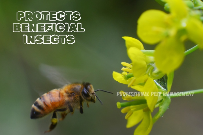 Professional Pest Management And Allied Services Pvt. Ltd. emphasizes the importance of protecting beneficial insects