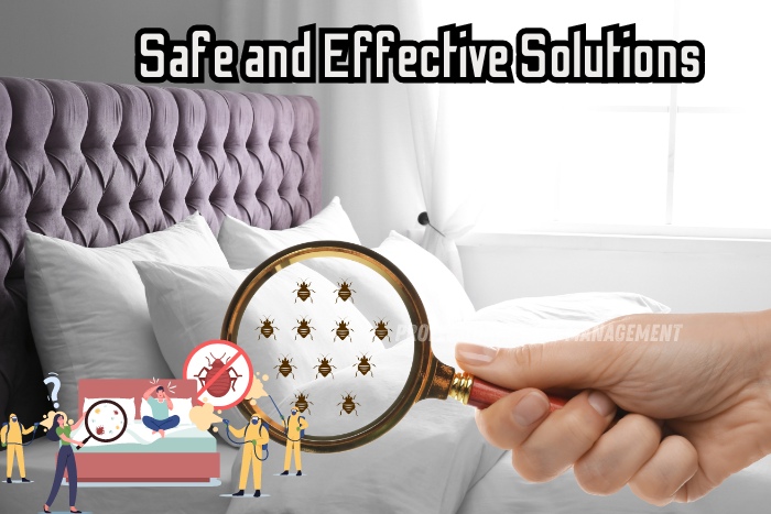 Professional Pest Management And Allied Services Pvt. Ltd. offers safe and effective solutions for pest control