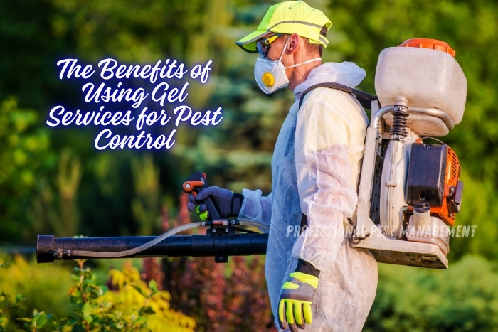 Professional Pest Management And Allied Services Pvt. Ltd. outlines the benefits of using gel services for pest control